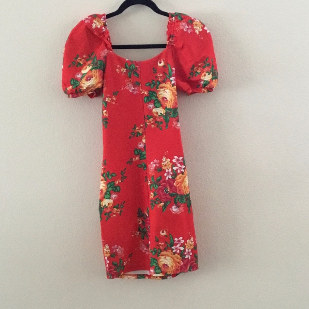 Betsey Johnson Cabbage Rose Printed Dress Size XS - Picture 4 of 6